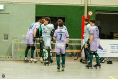 1.-BL-Herren-Herringen-Loewen-01
