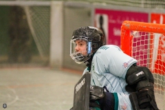 1.-BL-Herren-Herringen-Loewen-08