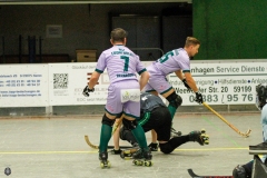 1.-BL-Herren-Herringen-Loewen-13