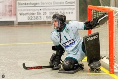 1.-BL-Herren-Herringen-Loewen-16