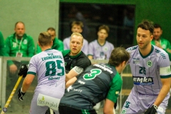 1.-BL-Herren-Herringen-Loewen-20