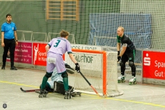 1.-BL-Herren-Herringen-Loewen-34