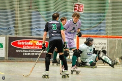 1.-BL-Herren-Herringen-Loewen-36