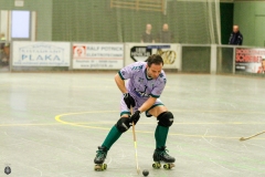 1.-BL-Herren-Herringen-Loewen-39