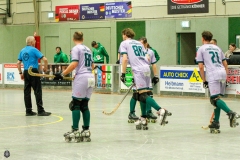 1.-BL-Herren-Herringen-Loewen-40