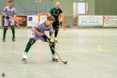 1.-BL-Herren-Herringen-Loewen-43
