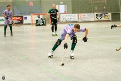 1.-BL-Herren-Herringen-Loewen-45