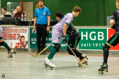 1.-BL-Herren-Herringen-Loewen-52