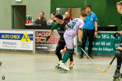 1.-BL-Herren-Herringen-Loewen-53