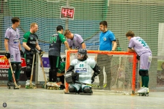 1.-BL-Herren-Herringen-Loewen-54