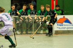 1.-BL-Herren-Herringen-Loewen-66