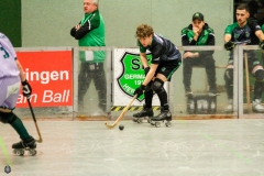 1.-BL-Herren-Herringen-Loewen-67